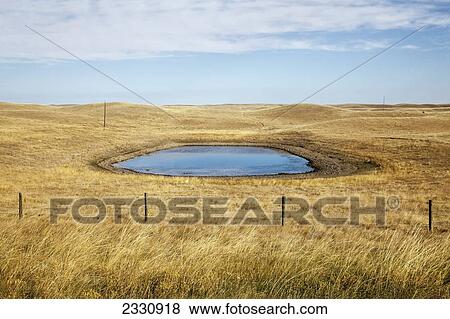 Stock Photo - A field with a watering hole; Saskatchewan canada. Fotosearch