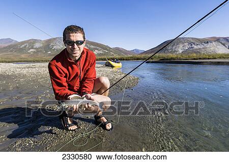 Stock Image - A fisherman holds a fresh grayling fish caught by fly fishing in the noatak river and brooks range gates of the arctic national park northwestern alaska; Alaska united states of america. Fotosearch