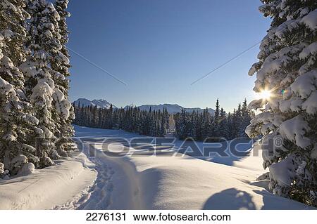 Stock Image - A fresh blanket of snow coats a trail on the anchorage golf course; Anchorage alaska united states of america. Fotosearch