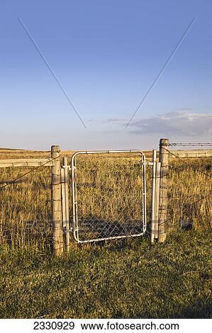 Stock Photo - A gate on a fence in a field; Saskatchewan canada. Fotosearch