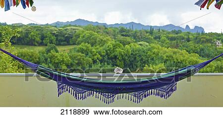Stock Photo - A Hanging Hammock With Mountains And Lush Vegetation In The Background; Wailua Kauai Hawaii United States Of America. Fotosearch
