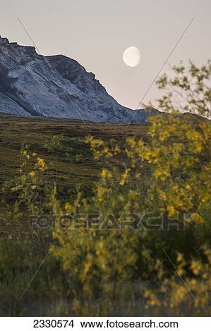 A moon in the sky and brooks range gates of the arctic national park northwestern alaska; Alaska united states of america View Large Photo Image Picture - A moon in the sky and brooks range gates of the arctic national park northwestern alaska; Alaska united states of america. Fotosearch