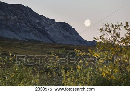 A moon in the sky and brooks range gates of the arctic national park northwestern alaska; Alaska united states of america View Large Photo Image Stock Photography - A moon in the sky and brooks range gates of the arctic national park northwestern alaska; Alaska united states of america. Fotosearch