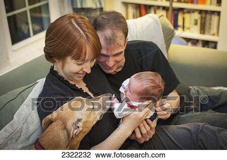 Stock Image - A mother and father hold a newborn baby and introduce him to the family dog; Willimantic connecticut united states of america. Fotosearch