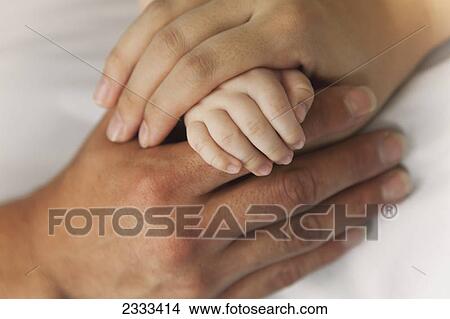 A mother and father's hands holding their baby's hand; Honolulu hawaii united states of america View Large Photo Image Picture - A mother and father's hands holding their baby's hand; Honolulu hawaii united states of america. Fotosearch