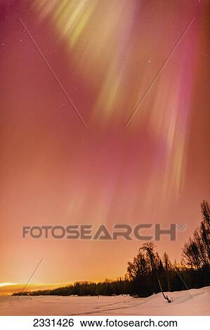 Stock Photograph - A multi-coloured northern lights corona in the sky above the tony knowles coastal trail in winter; Anchorage alaska united states of america. Fotosearch