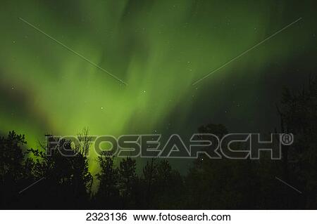 A night sky full of northern lights or aurora borealis; Alberta canada View Large Photo Image Stock Photograph - A night sky full of northern lights or aurora borealis; Alberta canada. Fotosearch