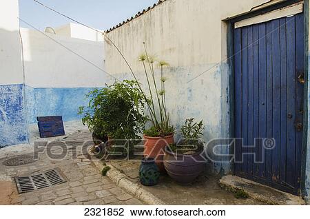 Stock Image - A Painted Blue Door On A House With Potted Plants Displayed Outside; Rabat Morocco. Fotosearch