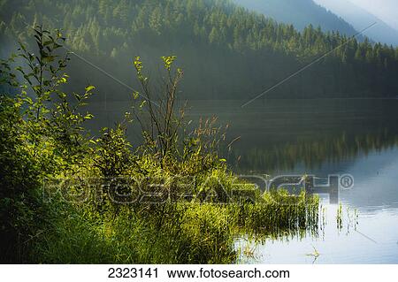 Stock Image - A peaceful early morning beside davis lake davis lake provincial park; British columbia canada. Fotosearch