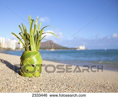 A pineapple made of braided banana leaf; Honolulu oahu hawaii united states of america View Large Photo Image Stock Photograph - A pineapple made of braided banana leaf; Honolulu oahu hawaii united states of america. Fotosearch