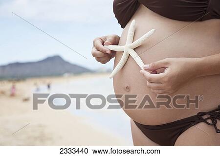 A pregnant woman in a bikini holding a starfish on her bare belly; Honolulu hawaii united states of america View Large Photo Image Stock Image - A pregnant woman in a bikini holding a starfish on her bare belly; Honolulu hawaii united states of america. Fotosearch