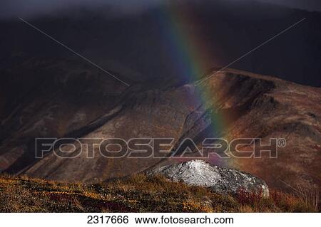 A Rainbow Appears During A Rainshower In Tombstone Territorial Park In Autumn; Yukon Canada View Large Photo Image Stock Photograph - A Rainbow Appears During A Rainshower In Tombstone Territorial Park In Autumn; Yukon Canada. Fotosearch