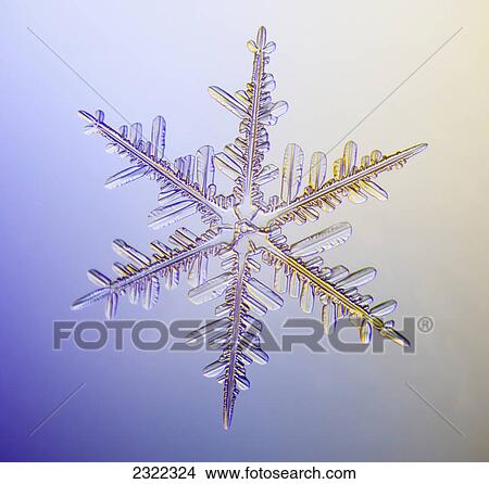 A real snowflake showing the classic 6-sided star shape photographed under a microscope; Anchorage alaska united states of america View Large Photo Image Picture - A real snowflake showing the classic 6-sided star shape photographed under a microscope; Anchorage alaska united states of america. Fotosearch