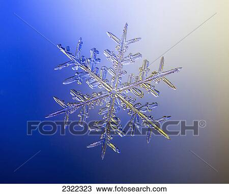 A real snowflake showing the classic 6-sided star shape photographed under a microscope; Anchorage alaska united states of america View Large Photo Image Stock Image - A real snowflake showing the classic 6-sided star shape photographed under a microscope; Anchorage alaska united states of america. Fotosearch