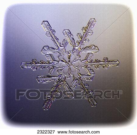 Stock Photo - A real snowflake showing the classic 6-sided star shape photographed under a microscope; Anchorage alaska united states of america. Fotosearch