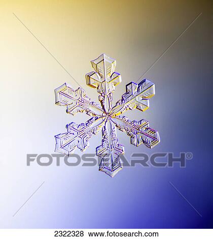 Stock Photo - A real snowflake showing the classic 6-sided star shape photographed under a microscope; Anchorage alaska united states of america. Fotosearch