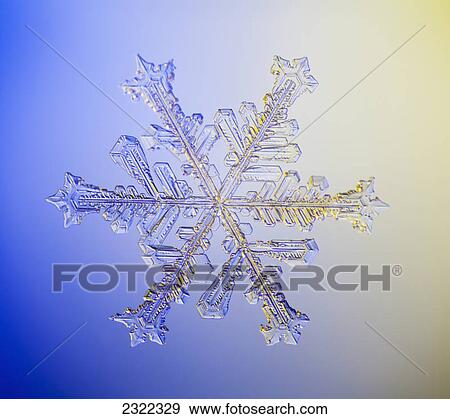 A real snowflake showing the classic 6-sided star shape photographed under a microscope; Anchorage alaska united states of america View Large Photo Image Stock Photo - A real snowflake showing the classic 6-sided star shape photographed under a microscope; Anchorage alaska united states of america. Fotosearch