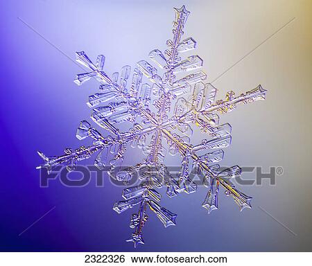 A real snowflake showing the classic 6-sided star shape photographed under a microscope; Anchorage alaska united states of america View Large Photo Image Stock Photograph - A real snowflake showing the classic 6-sided star shape photographed under a microscope; Anchorage alaska united states of america. Fotosearch
