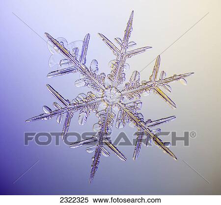 A real snowflake showing the classic 6-sided star shape photographed under a microscope; Anchorage alaska united states of america View Large Photo Image Stock Photography - A real snowflake showing the classic 6-sided star shape photographed under a microscope; Anchorage alaska united states of america. Fotosearch