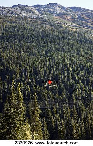 Stock Photograph - A red traffic light hung on a cable above a forest; Alberta canada. Fotosearch