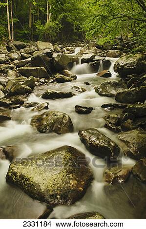 Picture - A river running through great smoky mountains national park; Tennessee united states of america. Fotosearch