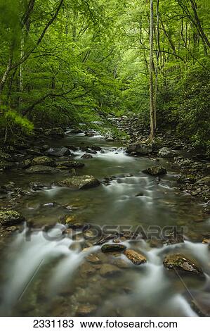 A river running through great smoky mountains national park; Tennessee united states of america View Large Photo Image Stock Image - A river running through great smoky mountains national park; Tennessee united states of america. Fotosearch