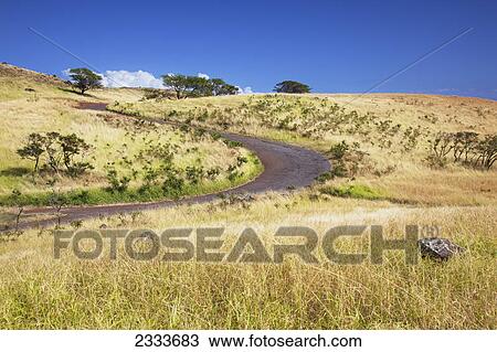 A road in the country; Kaupo, Maui, Hawaii, United States of America View Large Photo Image Stock Image - A road in the country; Kaupo, Maui, Hawaii, United States of America. Fotosearch