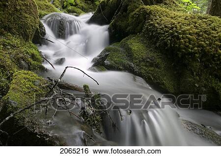 A Serene Stream Flows Through Mossy Rocks; Whistler, Bc. View Large Photo Image Stock Photograph - A Serene Stream Flows Through Mossy Rocks; Whistler, Bc.. Fotosearch