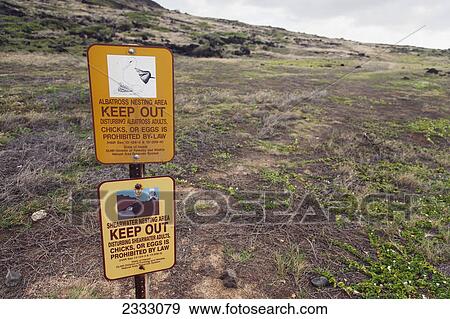 A sign warning people to stay out of the nearby albatross and shearwater nesting areas; Honolulu oahu hawaii united states of america View Large Photo Image Stock Photo - A sign warning people to stay out of the nearby albatross and shearwater nesting areas; Honolulu oahu hawaii united states of america. Fotosearch