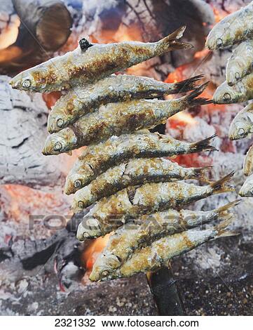 Stock Image - A Skewer Of Sardines Roasting Over An Open Fire; Torremolinos Malaga Province Spain. Fotosearch