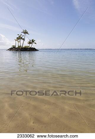 A small island off the shore with palm trees growing on it; Honolulu oahu hawaii united states of america View Large Photo Image Stock Image - A small island off the shore with palm trees growing on it; Honolulu oahu hawaii united states of america. Fotosearch