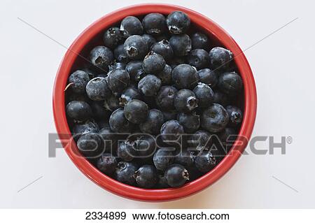 Stock Photo - A small red bowl full of blueberries; Palmer alaska united states of america. Fotosearch