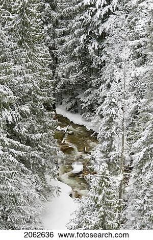 Stock Photograph - A Snowy River Gorge, Revelstoke, Bc, Canada. Fotosearch