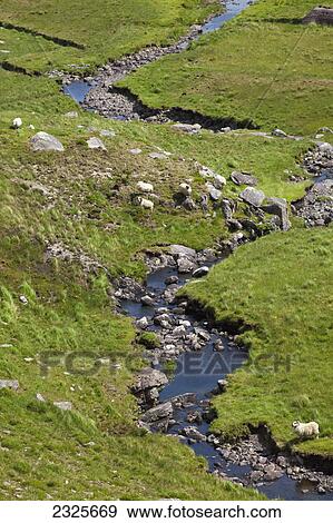 A stream running through a grass field; Healy pass county cork ireland View Large Photo Image Stock Photo - A stream running through a grass field; Healy pass county cork ireland. Fotosearch