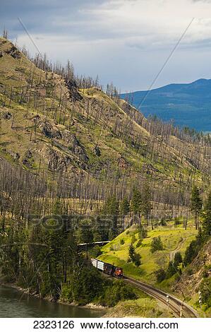 Stock Photograph - A train snaking it's way through a forest fire area beside the north thompson river; Kamloops british columbia canada. Fotosearch