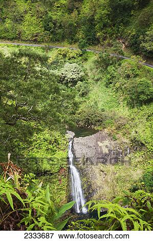 Stock Photo - A view of a waterfall below the road to Hana; Maui, Hawaii, United States of America. Fotosearch