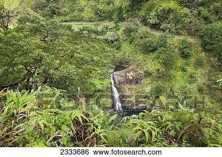 Stock Photograph - A view of a waterfall below the road to Hana; Maui, Hawaii, United States of America. Fotosearch