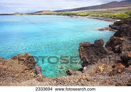 A view of La Perouse Bay with clear water and coral; Maui, Hawaii, United States of America View Large Photo Image Picture - A view of La Perouse Bay with clear water and coral; Maui, Hawaii, United States of America. Fotosearch