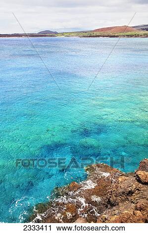 A view of la perouse bay with clear water and coral; Maui hawaii united states of america View Large Photo Image Stock Image - A view of la perouse bay with clear water and coral; Maui hawaii united states of america. Fotosearch