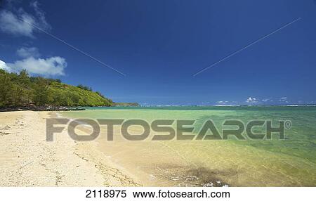 A White Sand Beach Along The Coast Of An Hawaiian Island; Pilaa Kauai Hawaii United States Of America View Large Photo Image Stock Photography - A White Sand Beach Along The Coast Of An Hawaiian Island; Pilaa Kauai Hawaii United States Of America. Fotosearch