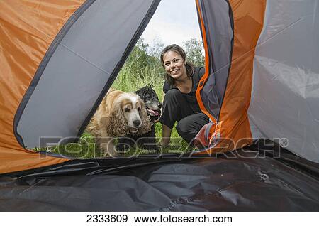 Stock Photo - A woman and her two dogs look into the doorway of a tent; Locarno ticino switzerland. Fotosearch