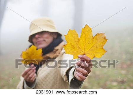 Stock Image - A woman holding a large bright yellow maple leaf in the fog; Bellinzona ticino switzerland. Fotosearch