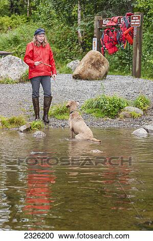 A woman holding a stick to throw for a male chesepeak bay retriever who is waiting in byers lake to retrieve it in campground denali state park; Alaska united states of america View Large Photo Image Stock Image - A woman holding a stick to throw for a male chesepeak bay retriever who is waiting in byers lake to retrieve it in campground denali state park; Alaska united states of america. Fotosearch