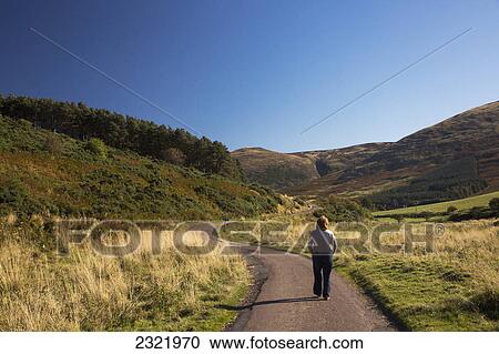 Stock Image - A Woman Walks Down A Path In The Hills With A Blue Sky; Cheviot Hills Northumberland England. Fotosearch