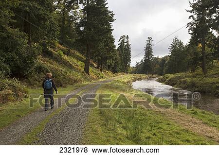 Stock Photo - A Woman With A Backpack Walking On A Path Along The River In Hume Park; Alnwick Northumberland England. Fotosearch