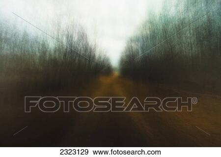 Stock Photo - Abstract path through the trees to the horizon; Beaverhill lake alberta canada. Fotosearch