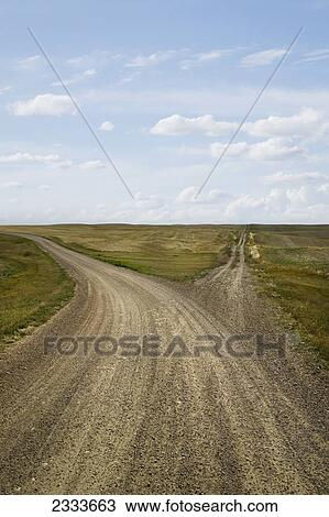 An empty country road between fields, fork in the road; Saskatchewan, Canada View Large Photo Image Stock Image - An empty country road between fields, fork in the road; Saskatchewan, Canada. Fotosearch