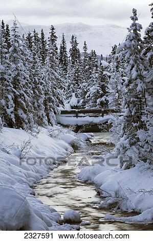 An open mountain stream with a wooden bridge surrounded by snow covered banks and evergreen trees at dusk; Lake louise alberta canada View Large Photo Image Stock Image - An open mountain stream with a wooden bridge surrounded by snow covered banks and evergreen trees at dusk; Lake louise alberta canada. Fotosearch