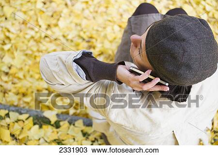 Stock Image - An overhead view of a woman talking on a cell phone with yellow leaves covering the ground; Locarno ticino switzerland. Fotosearch