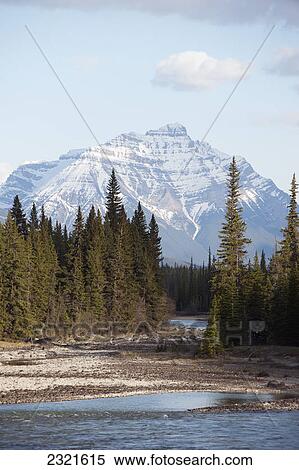 Athabasca River; Alberta Canada View Large Photo Image Stock Photography - Athabasca River; Alberta Canada. Fotosearch